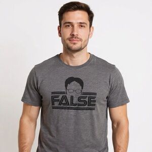 The Office Dwight Schrute False Funny Graphic Tee Gray 2XL